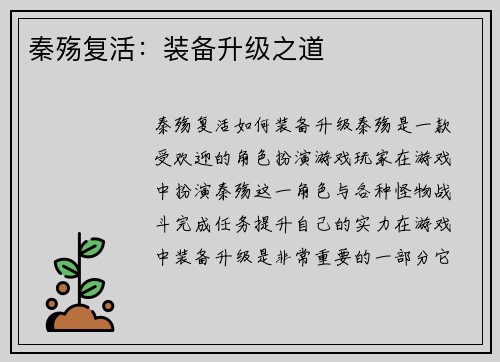 秦殇复活：装备升级之道